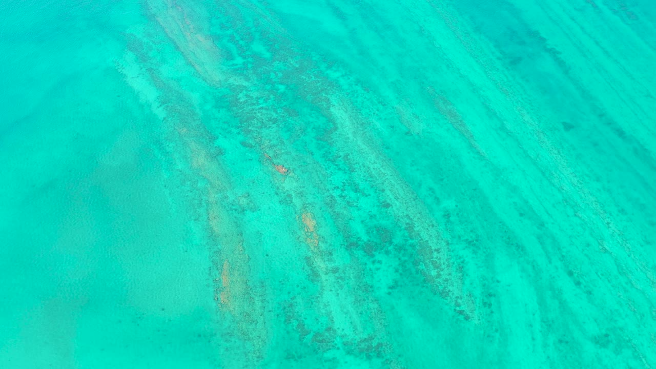 Second frame of the Cabo Pulmo aerial water view, with the fish slightly farther across the coral-and-sand pattern and no visible people.