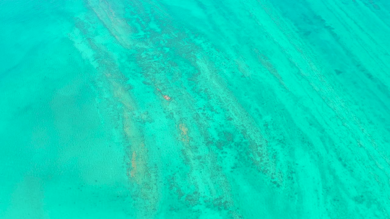Mid-clip frame from Cabo Pulmo showing pale sand, mottled coral, gentle surface texture, a small fish in the clear water, and no visible people.