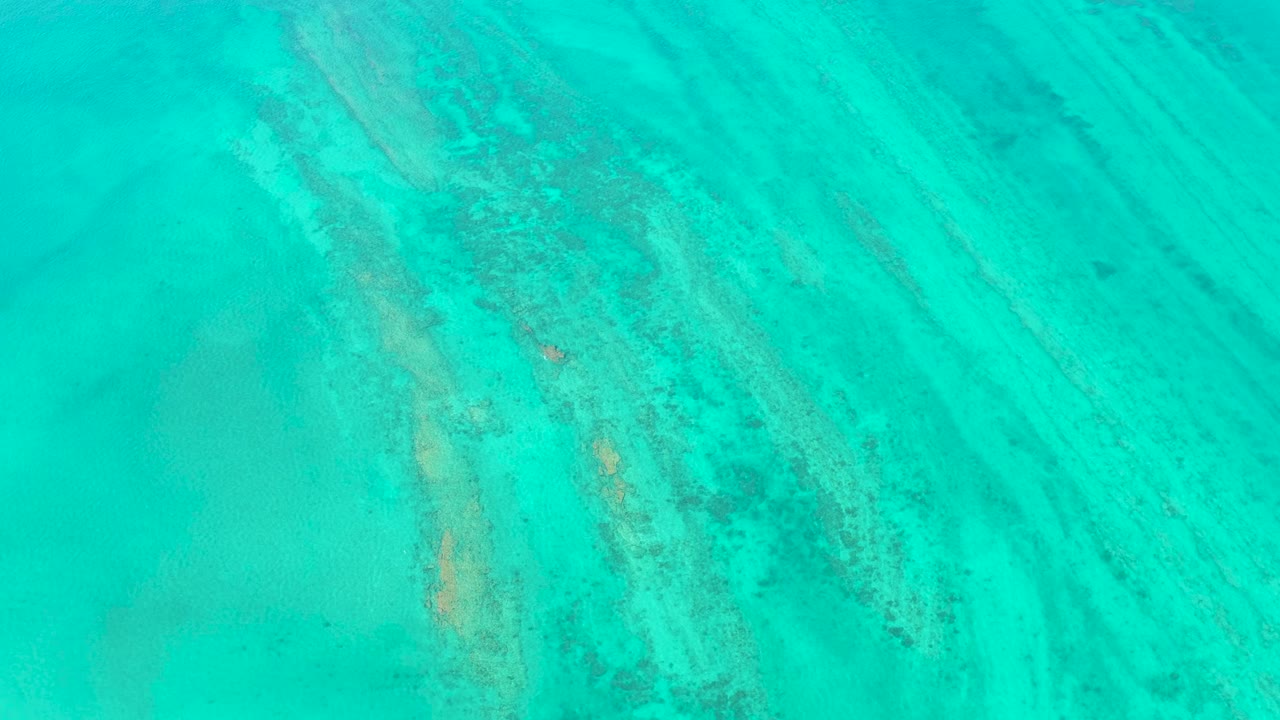 Overhead turquoise shallow ocean with visible seabed texture