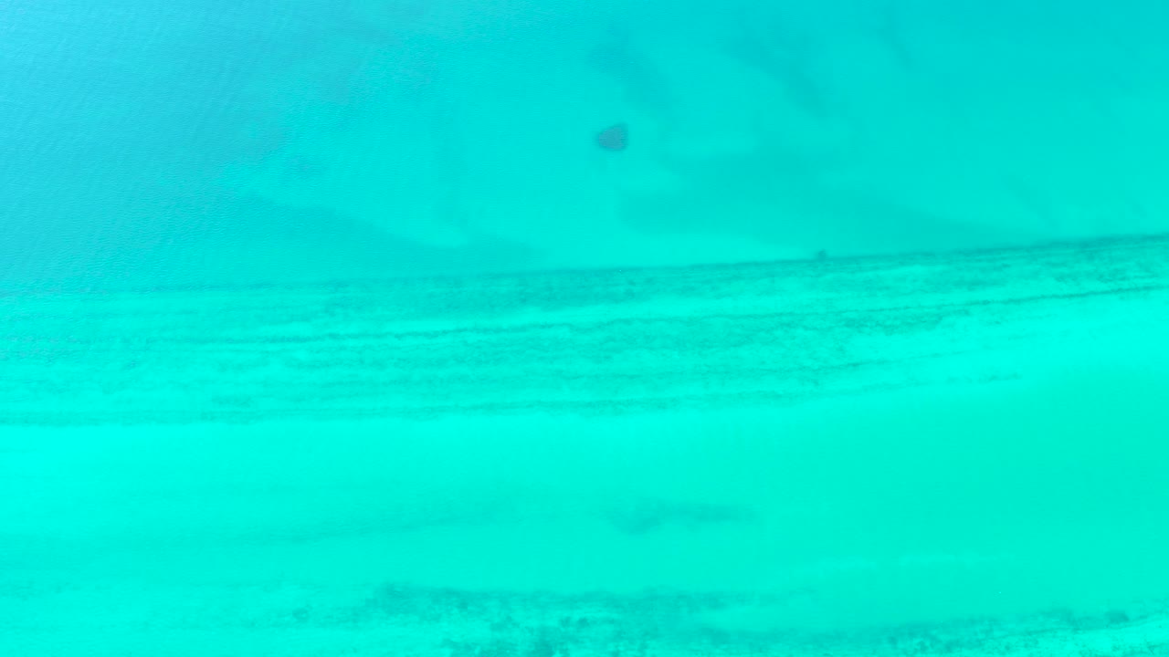 Mid-clip frame in Cabo Pulmo, Baja California Sur, where the pale seabed remains visible through turquoise water with faint darker patches and no visible people.