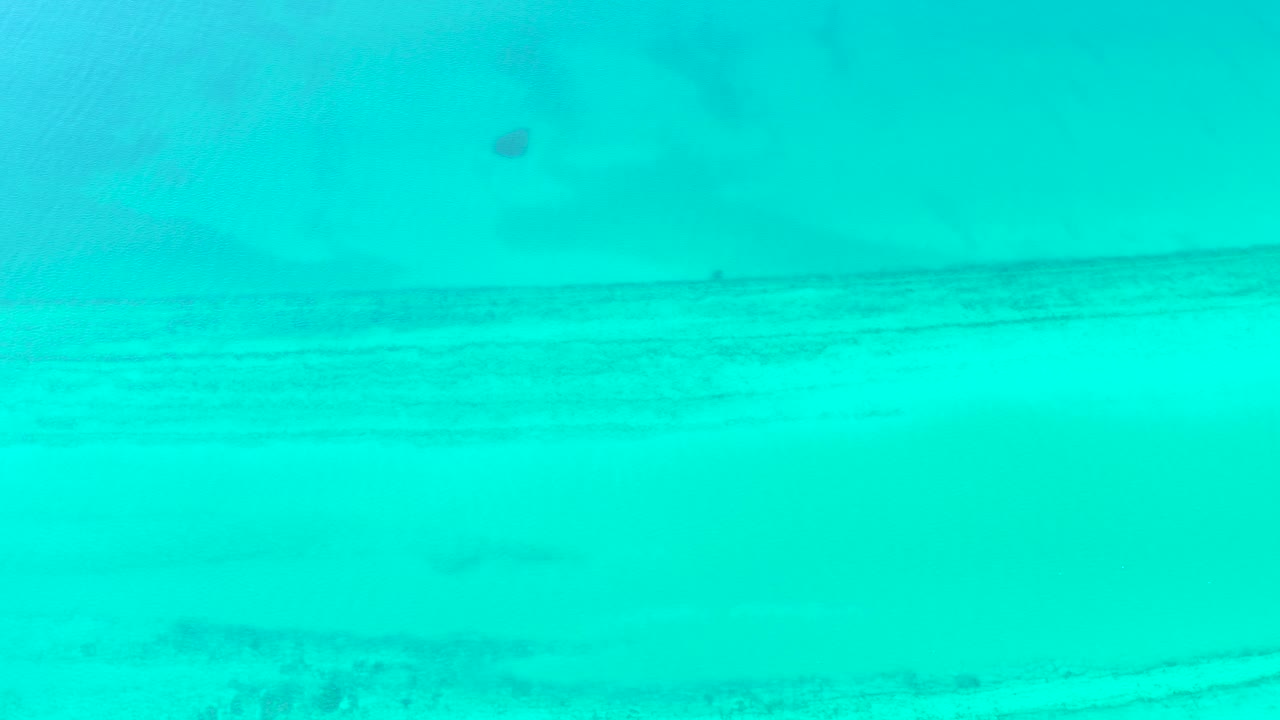 Clear turquoise water in Cabo Pulmo shows rippled sand below and the small fish held near the upper center, with no visible people.
