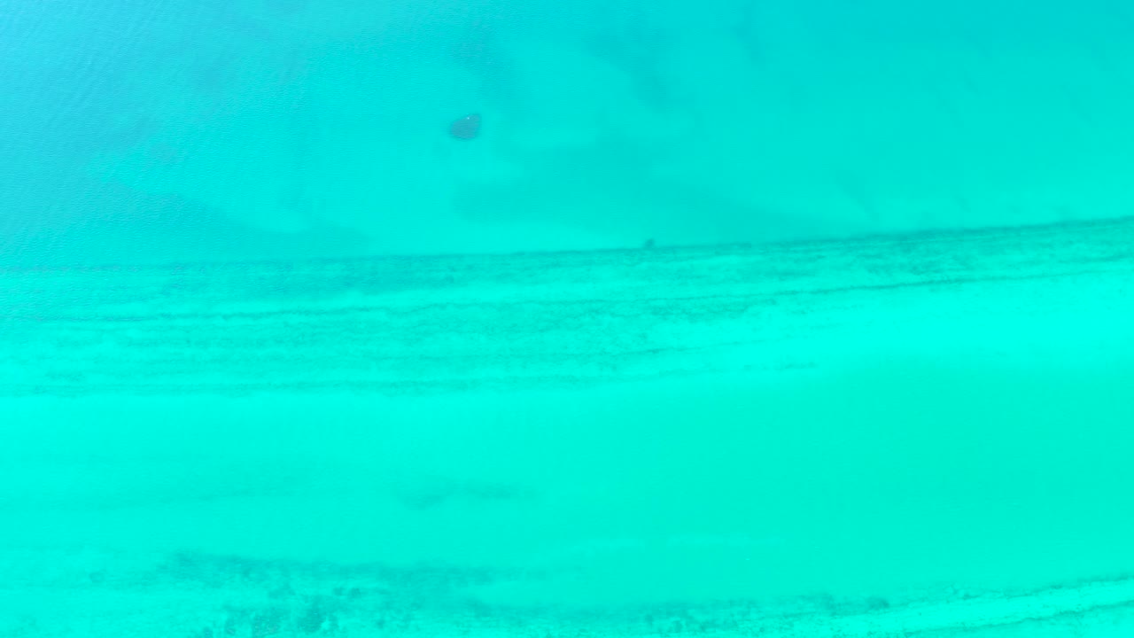 Blue-green underwater frame from Cabo Pulmo with pale sand bands below and a small fish near the top area, with no visible people.