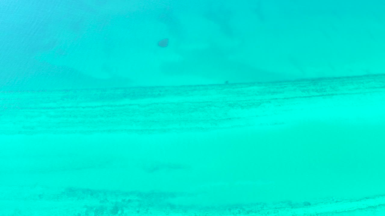 Shallow turquoise sea in Cabo Pulmo reveals a soft sandy bottom and a small dark fish still visible near the upper part of the frame, with no visible people.