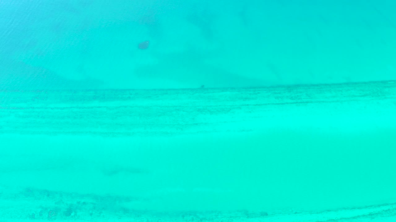 The fish sits slightly farther across the pale turquoise water, with a darker horizontal seabed line visible through the shallows in Cabo Pulmo and no visible people.