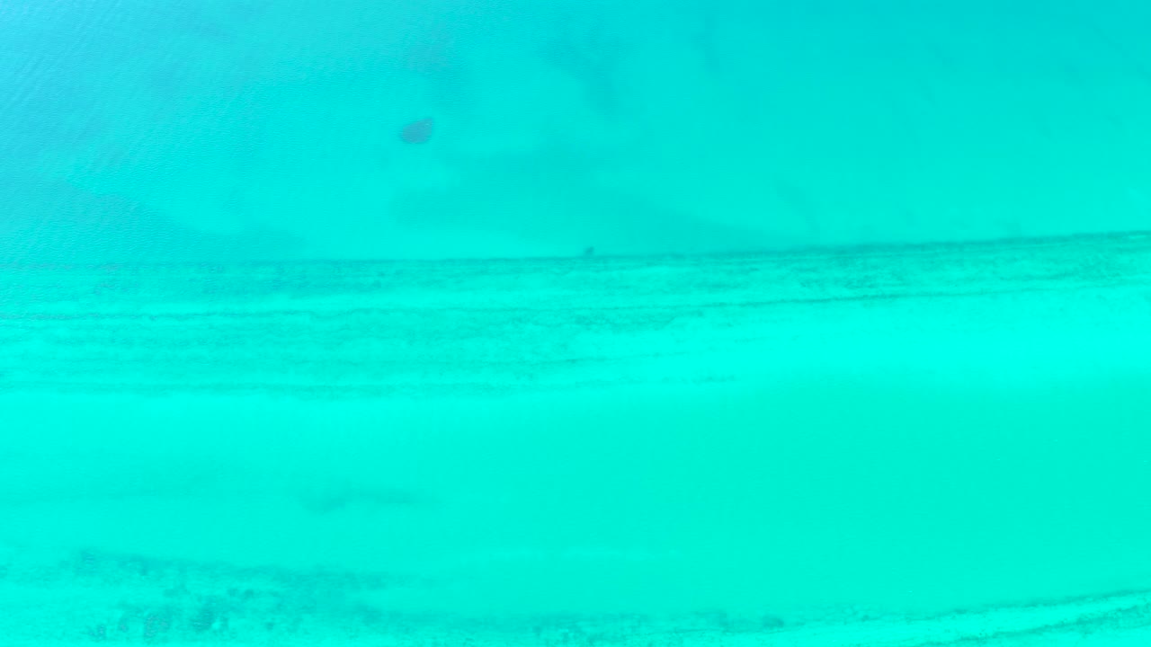 A small dark fish remains near the upper center of the frame over clear Cabo Pulmo water, while pale sand and darker seabed streaks run across the lower frame with no visible people.
