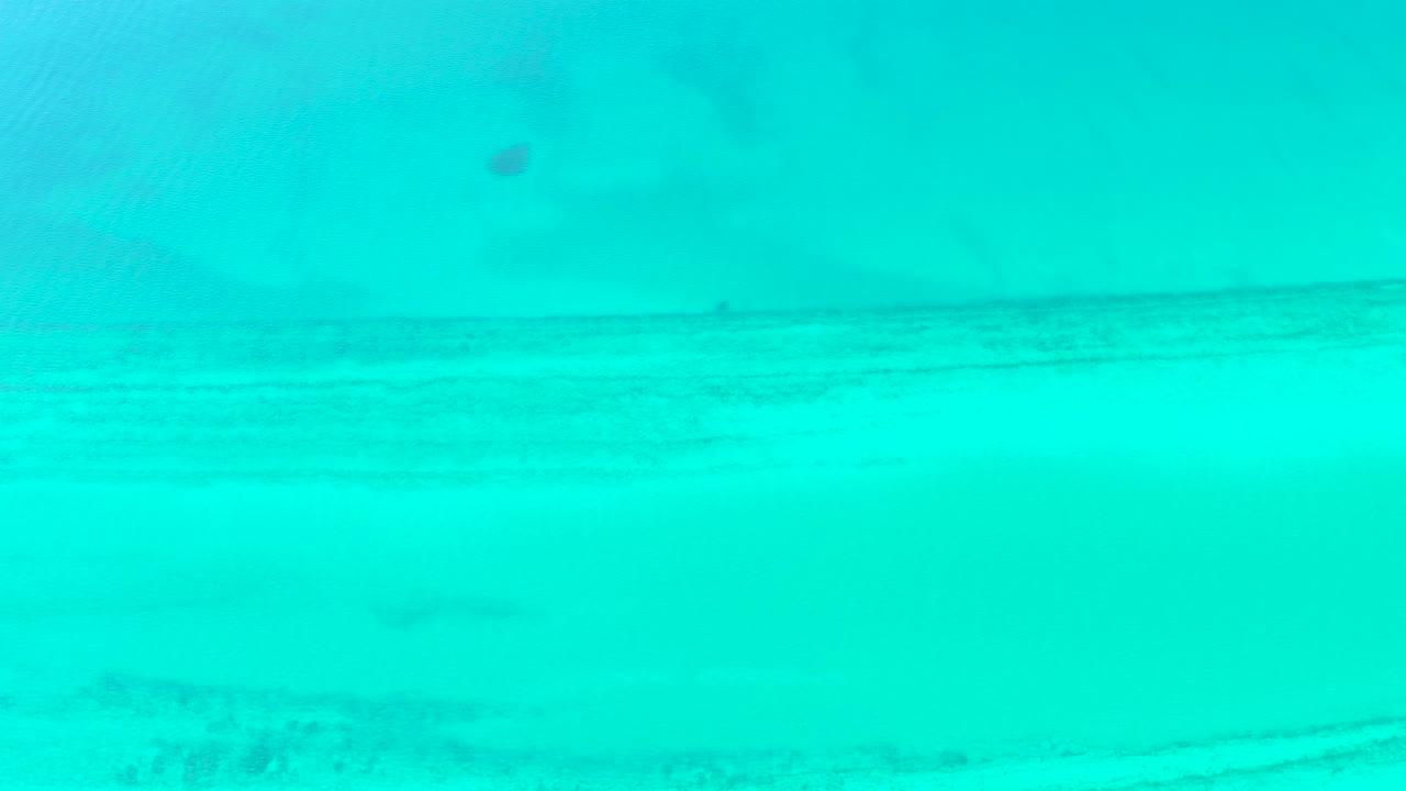 The fish appears near the upper left portion of a bright turquoise overhead view, with the seabed softened by water haze in Cabo Pulmo and no visible people.