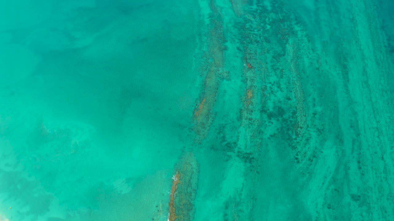 Aerial frame over Cabo Pulmo water with a central band of darker coral texture and surrounding aqua sand flats, no visible people.