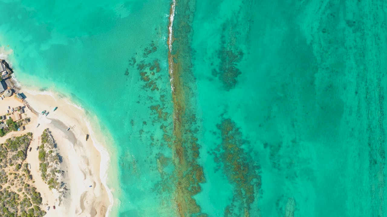 Top-down Cabo Pulmo view with beach and low vegetation along the left margin, small beachgoers on the sand, and textured turquoise water stretching across the frame.