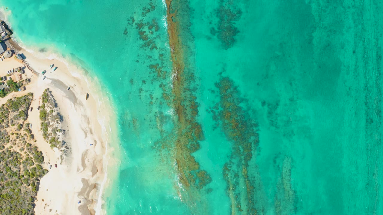 Overhead frame of Cabo Pulmo shoreline with white sand at left, turquoise shallows across the frame, darker seabed streaks offshore, and tiny beachgoers visible near the waterline.