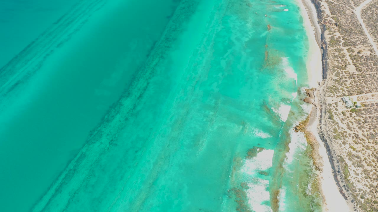 Overhead view of turquoise water meeting a narrow sandy Cabo Pulmo beach with sparse scrub along the right edge and no visible people.