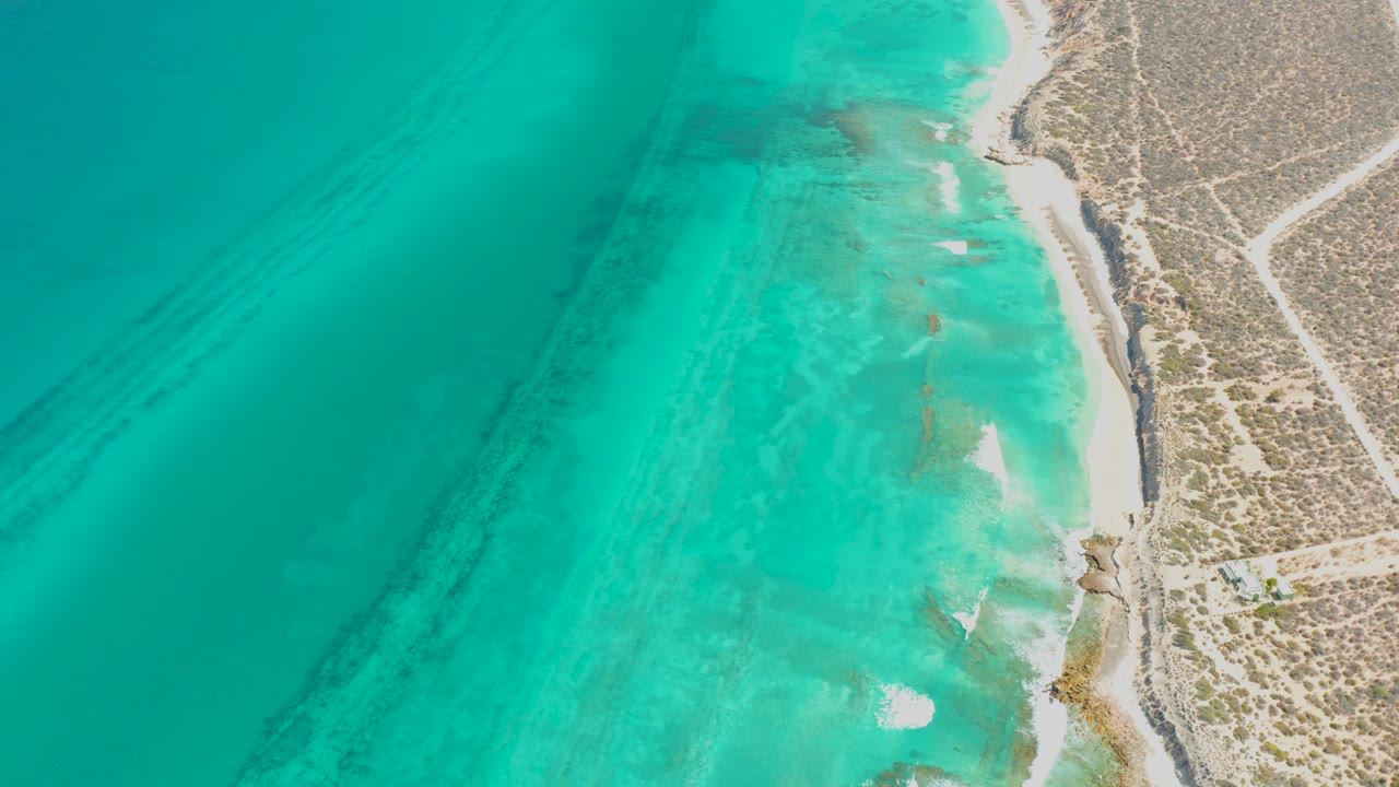 High overhead view of turquoise ocean receding from a narrow Cabo Pulmo beach, with scrub-covered land and no visible people.
