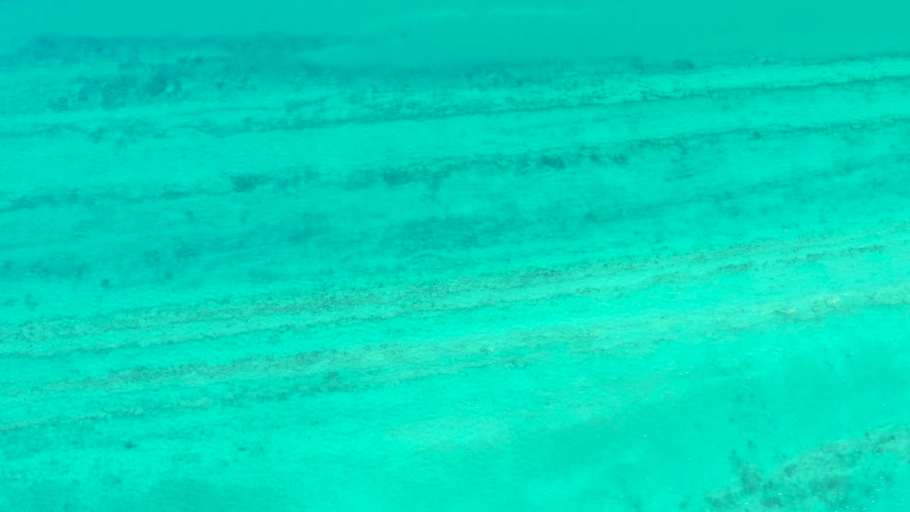 Overhead turquoise water reveals parallel rocky or coral-like seabed formations across the ocean floor in Cabo Pulmo, with no visible people.