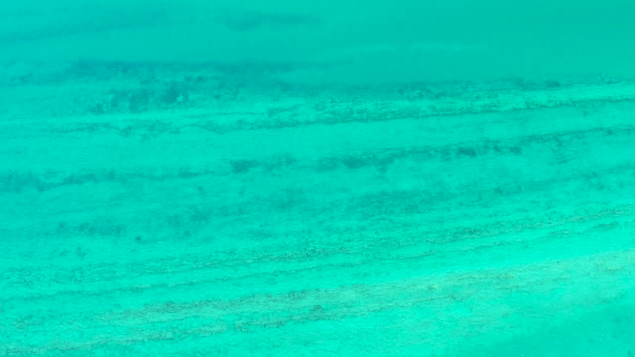 Opening underwater frame from Cabo Pulmo showing clear turquoise water over a pale ridged sea floor with no visible people.
