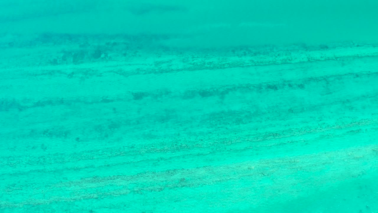Cabo Pulmo underwater view where pale seabed texture and muted darker bands fill the frame, with no visible people.