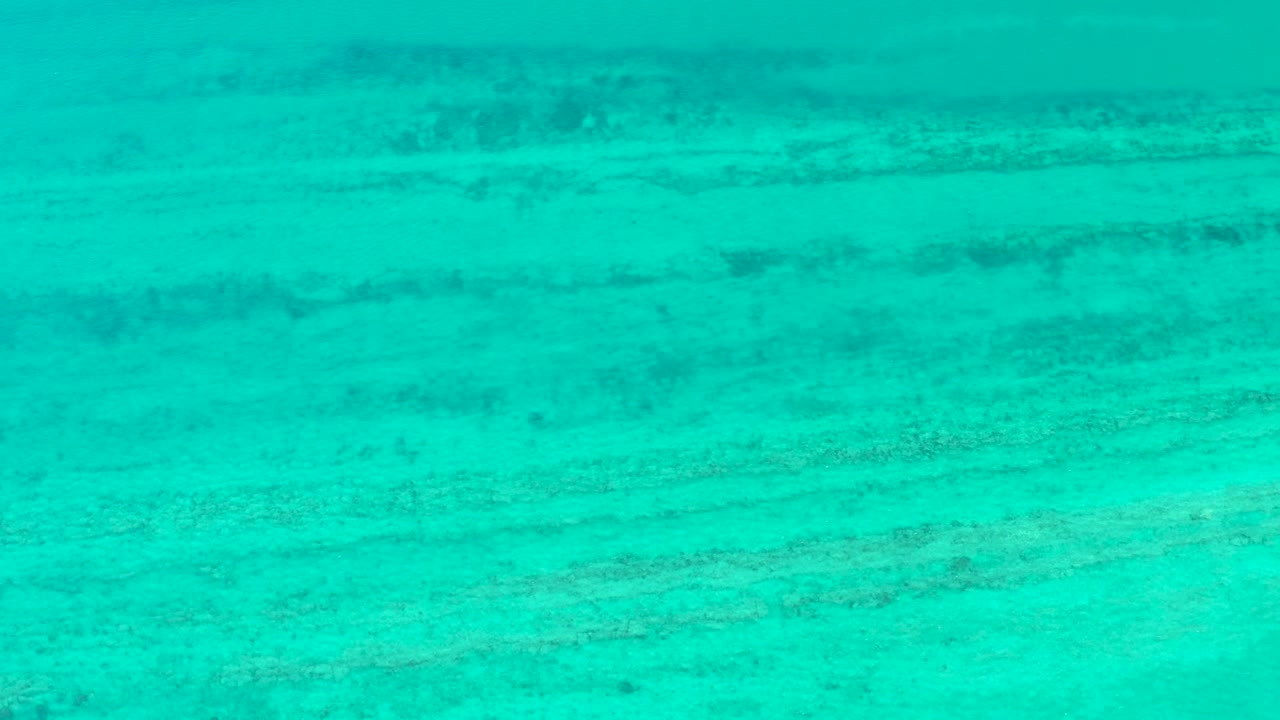 A pale sea floor is visible through turquoise Cabo Pulmo water, with dark streaks set across the middle of the frame and no visible people.