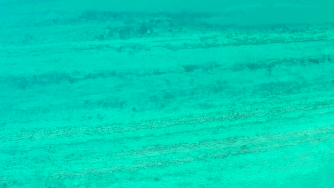 Mid-clip frame of clear turquoise water over the Cabo Pulmo seabed, where soft dark formations remain visible under the surface and no people appear.