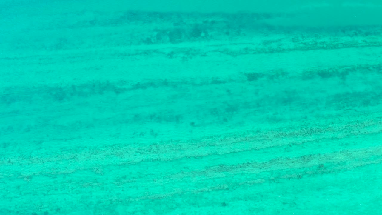 Opening underwater frame from Cabo Pulmo showing clear turquoise water above a pale sandy seabed with darker horizontal bands and no visible people.