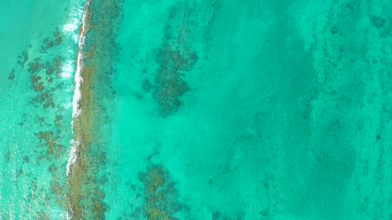 Overhead Cabo Pulmo shoreline water shows white foam tracing a submerged ridge, with blue-green shallows and mottled darker reef or seabed areas, no visible people.