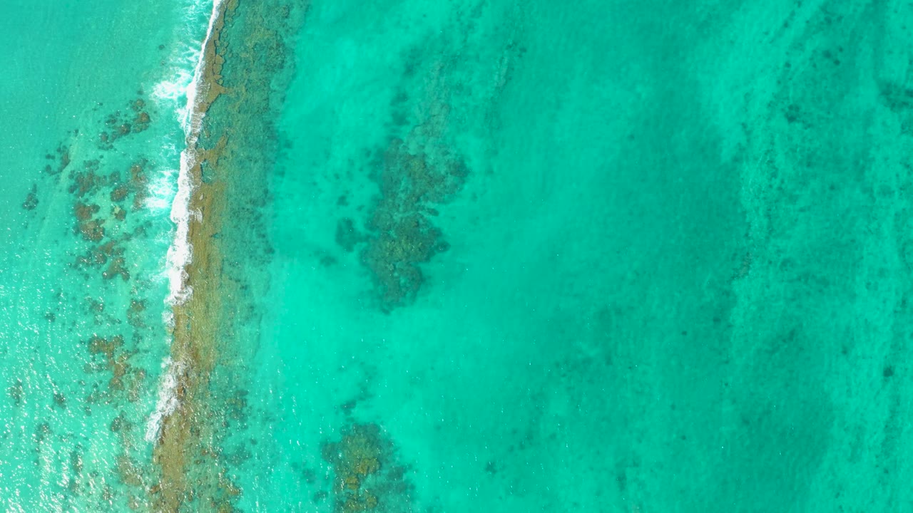 The fourth frame shows Cabo Pulmo's turquoise water from above, with a foamy reef edge along the left border, darker patches in the middle distance, and no visible people.