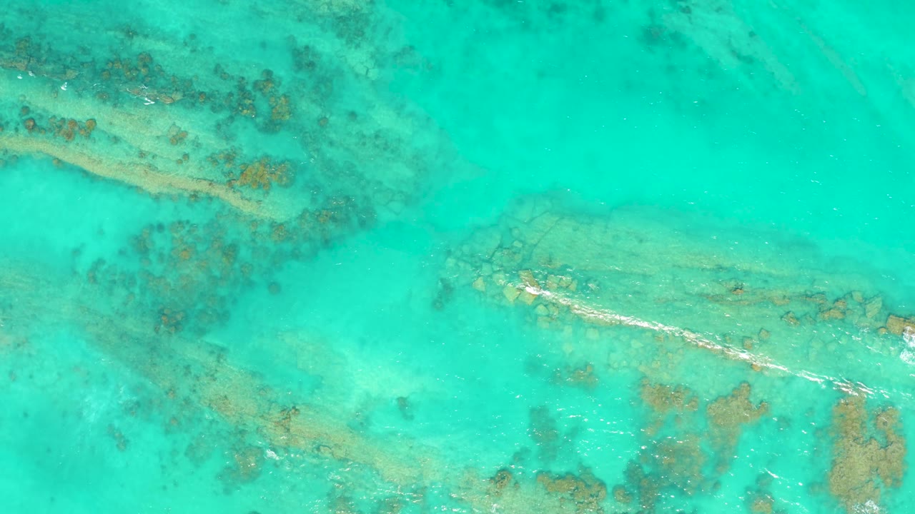 The swimmer is visible from above in Cabo Pulmo, moving across clear turquoise water while brown reef patches sit beneath the surface.
