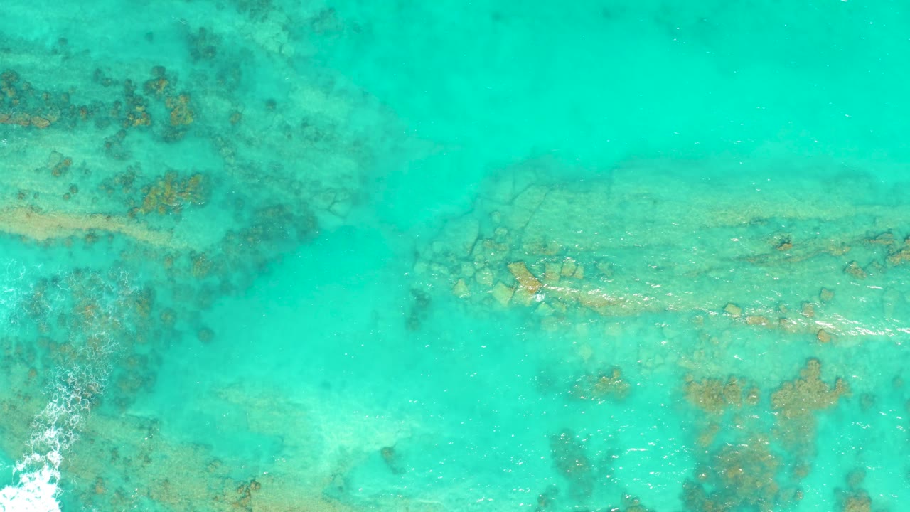 A straight-down view in Cabo Pulmo shows a pale submerged rock shelf crossing the right side, coral clusters around it, and no visible people.