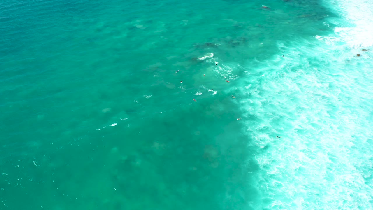 Aerial view over Marquis Los Cabos water where scattered swimmers appear as small dots in clear green-blue sea beside a thick area of white surf wash.