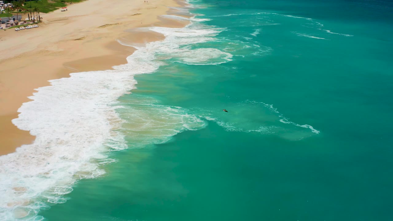 Aerial frame from Dreams Los Cabos with the sandy beach at upper left, a broad patch of white surf over green shallows, and the distant swimmer slightly right of center.