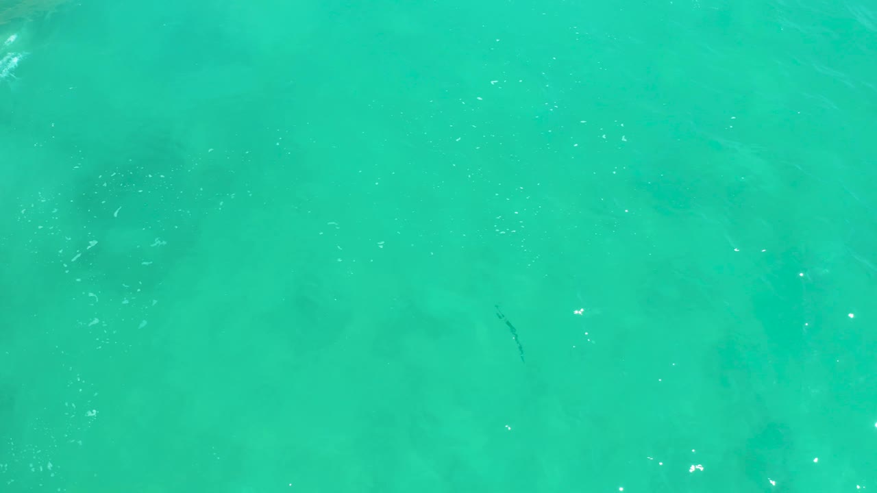Turquoise water surface with pale seabed and scattered sunlight.