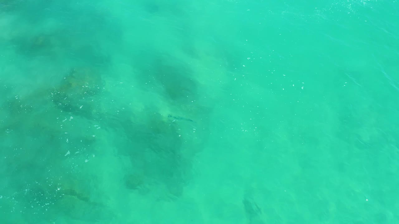 Turquoise water at Dreams Los Cabos reveals dark rock patches below the surface, small fish near the center area, light speckles, and no visible people.