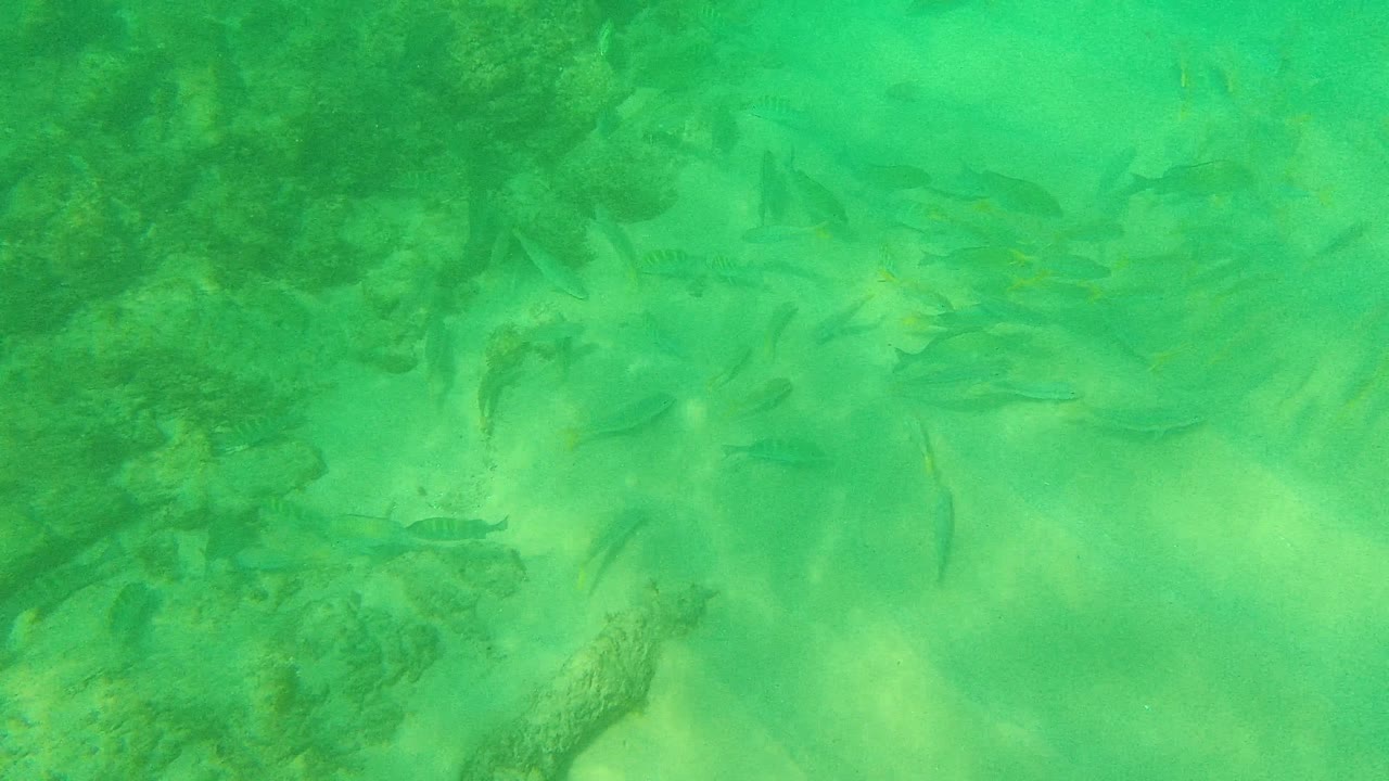 Underwater fish pass between sand and rocks.