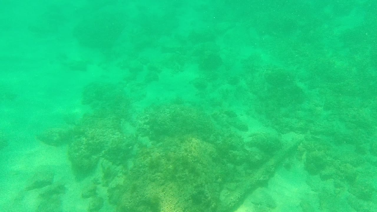 Green-tinted underwater frame in Palmilla Los Cabos showing uneven rocks, sand channels, and softened background visibility, with no visible people.