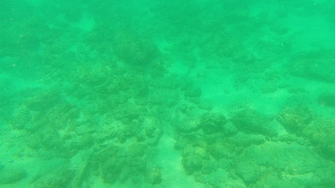 Rocky reef floor fading into turquoise water