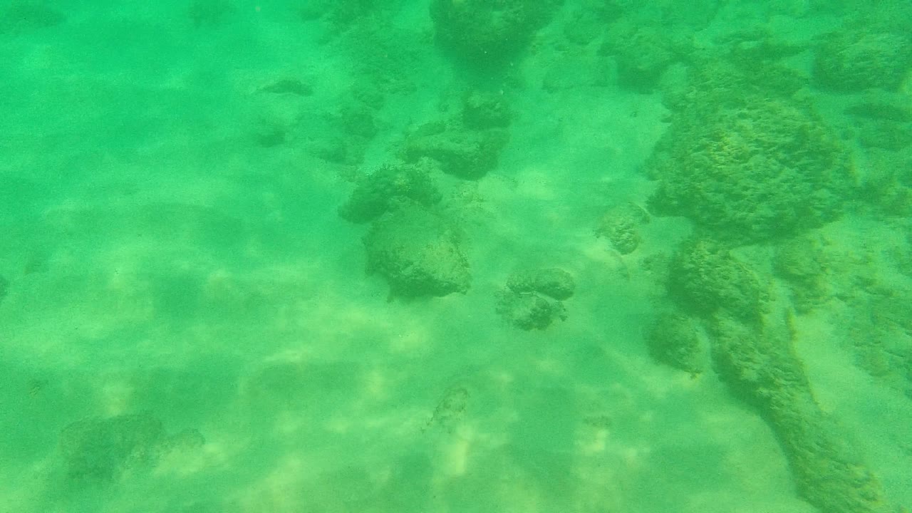 Rocky underwater seabed in clear green water.