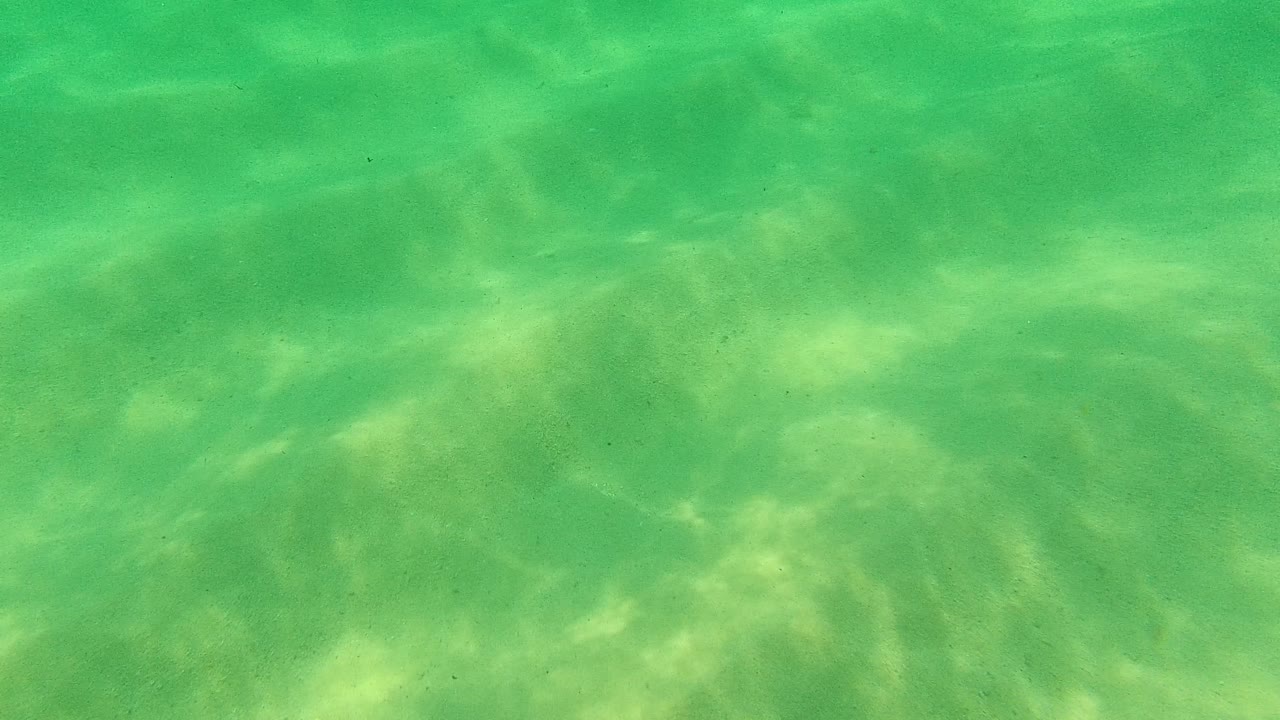 Clear green underwater view over a sandy seabed.