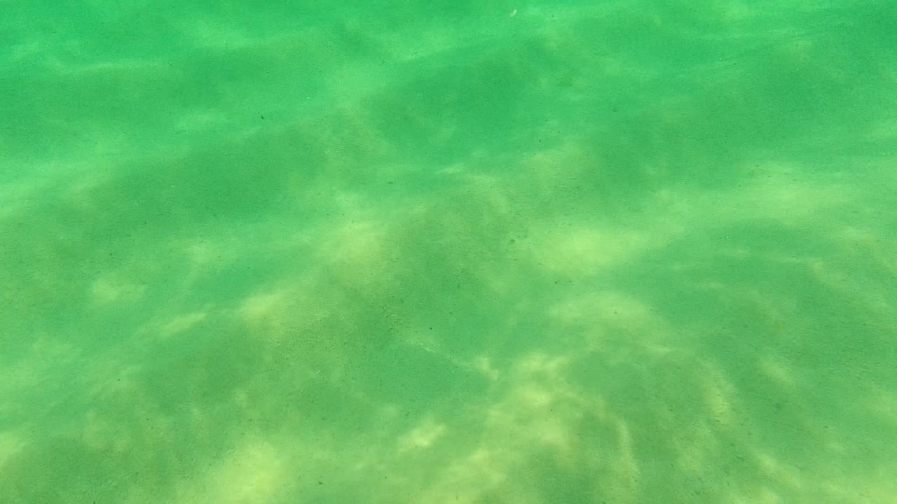 Palmilla Los Cabos underwater view with brighter bands of sunlight crossing the sandy bottom and no visible people.