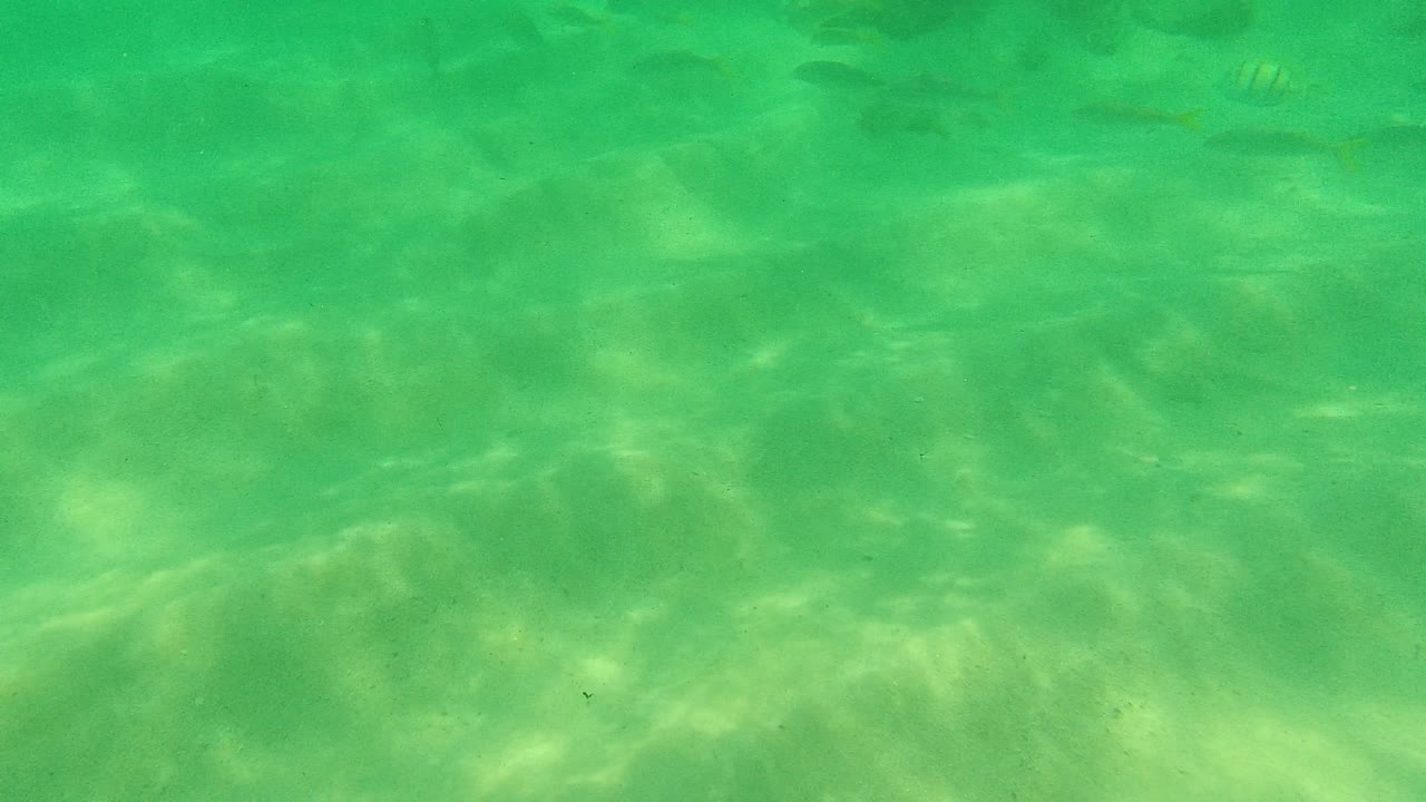 Underwater Palmilla Los Cabos frame with green water, sandy seabed, wavering light, faint dark patches, and no visible people.