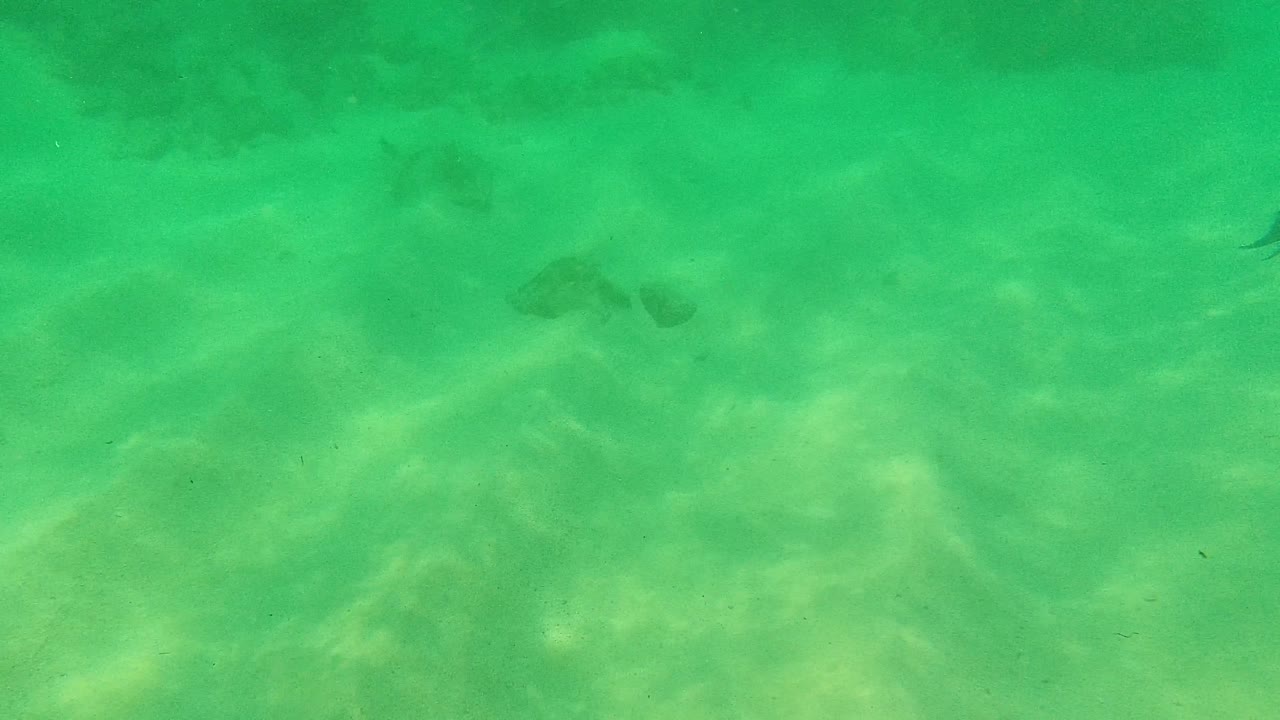 Clear green water reveals a sandy ocean floor with faint darker shapes near the top of the Palmilla Los Cabos frame and no visible people.