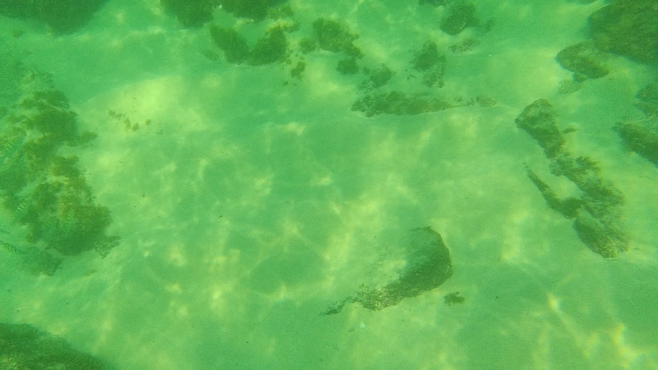 Green underwater view of sandy seabed, rocks, and small fish.