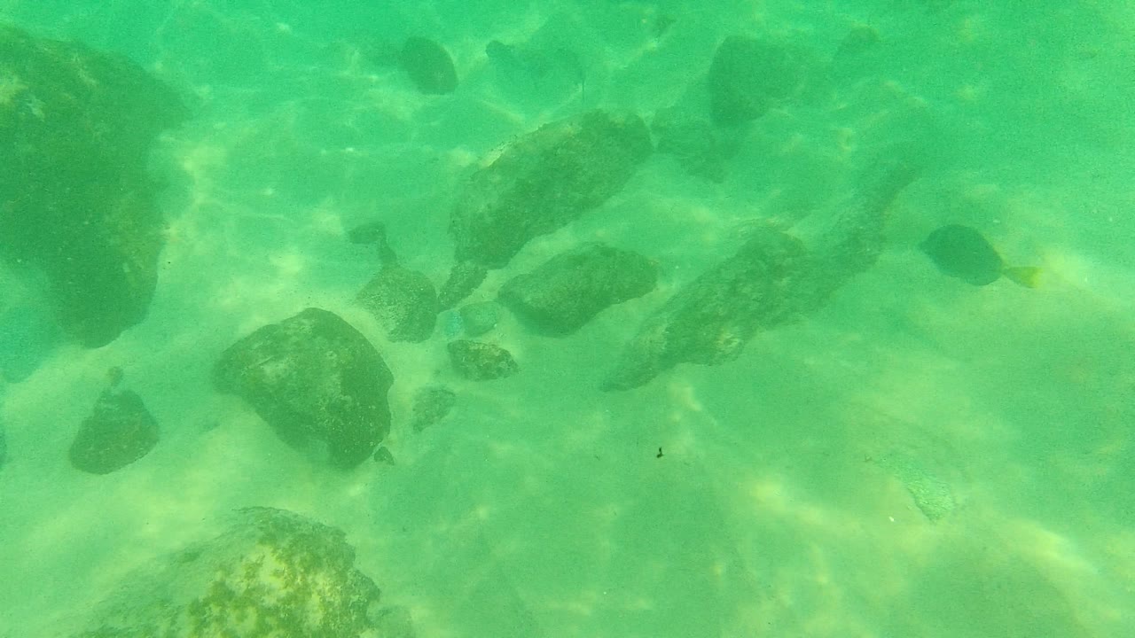 At Palmilla Los Cabos, rocks are spread across the sandy bottom as small fish appear between them and sunlight ripples across the turquoise water, with no visible people.