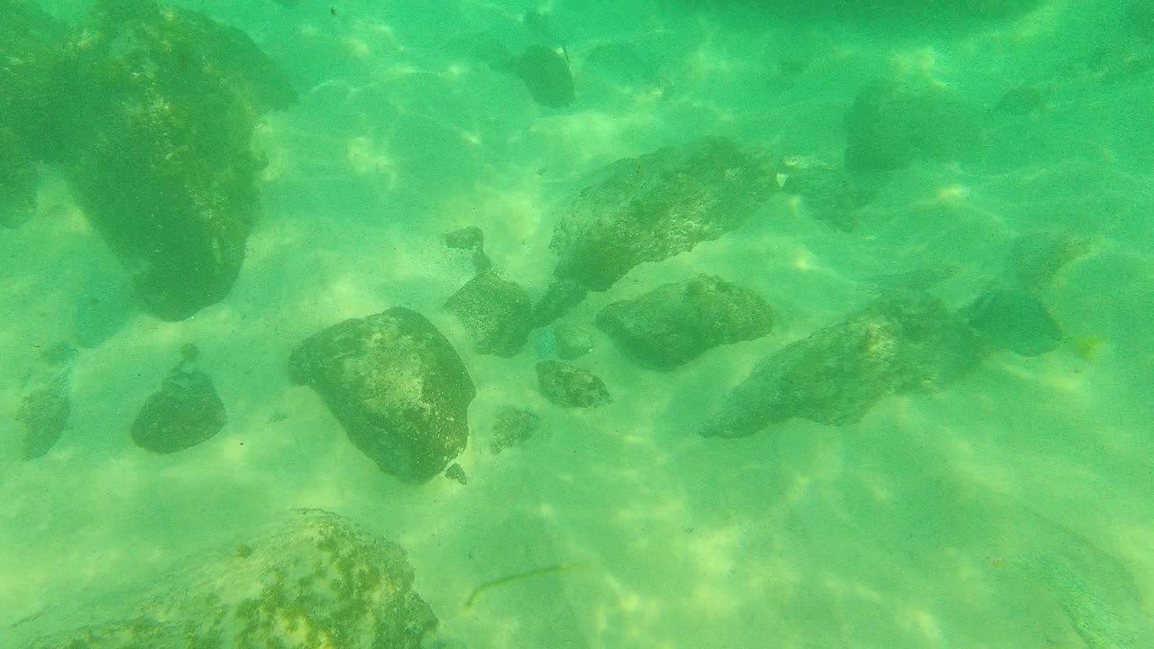 Underwater rocks and fish in green-turquoise water