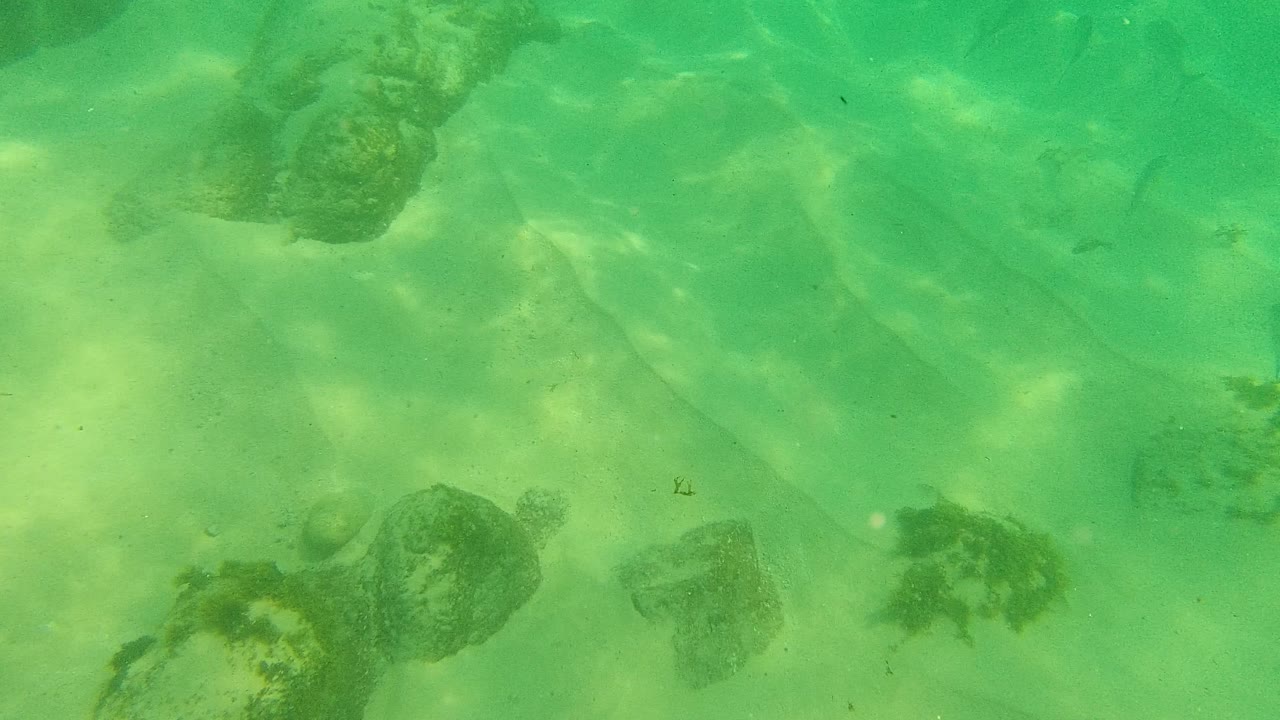 Green underwater view of rocks on a sandy seabed