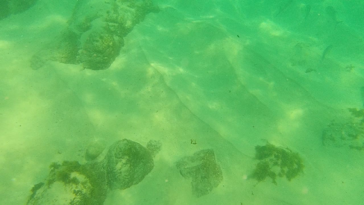 Underwater frame in Palmilla Los Cabos, Mexico, with a large rock near the upper edge, smaller rocks below, and green water with no visible people.