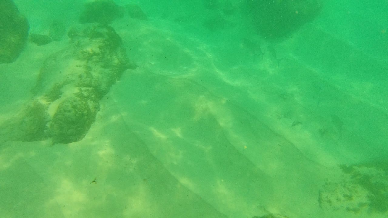 Palmilla Los Cabos underwater view showing pale sand, scattered rocks, faint small fish in the green water, and no visible people.