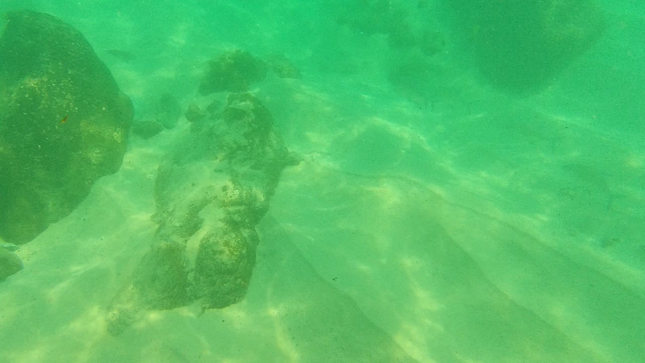 Palmilla Los Cabos underwater frame with larger foreground rocks, algae patches, pale sand, green water, and no visible people.