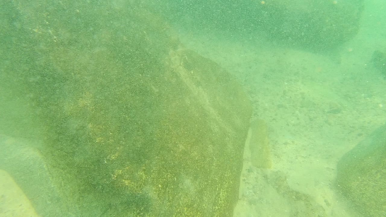 Green underwater view of algae-covered rocks and pale sandy bottom.