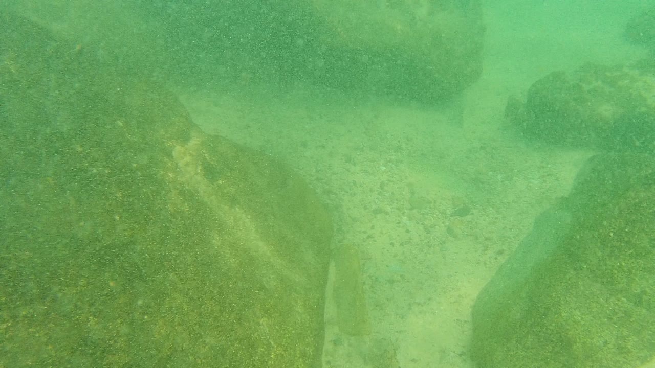 Rounded submerged rocks sit around a pale sandy channel in the green underwater scene at Palmilla Los Cabos, Baja California Sur, with no visible people.