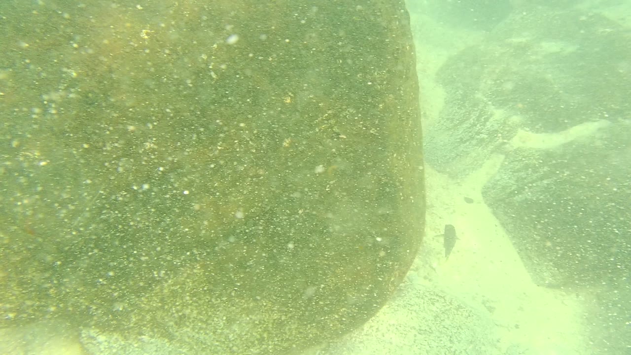 Large rounded underwater rock fills the left side above pale sand in Palmilla Los Cabos, Mexico, with suspended particles and no visible people.