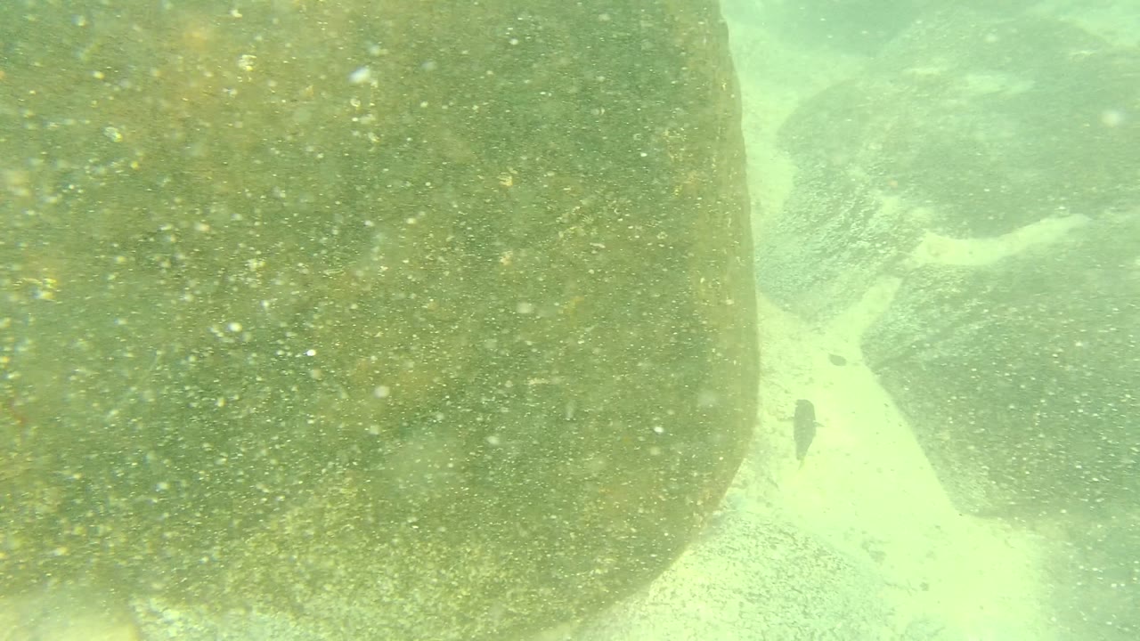 A sandy channel between large underwater rocks appears in green water at Palmilla Los Cabos, Mexico, with a small fish near the center and no visible people.