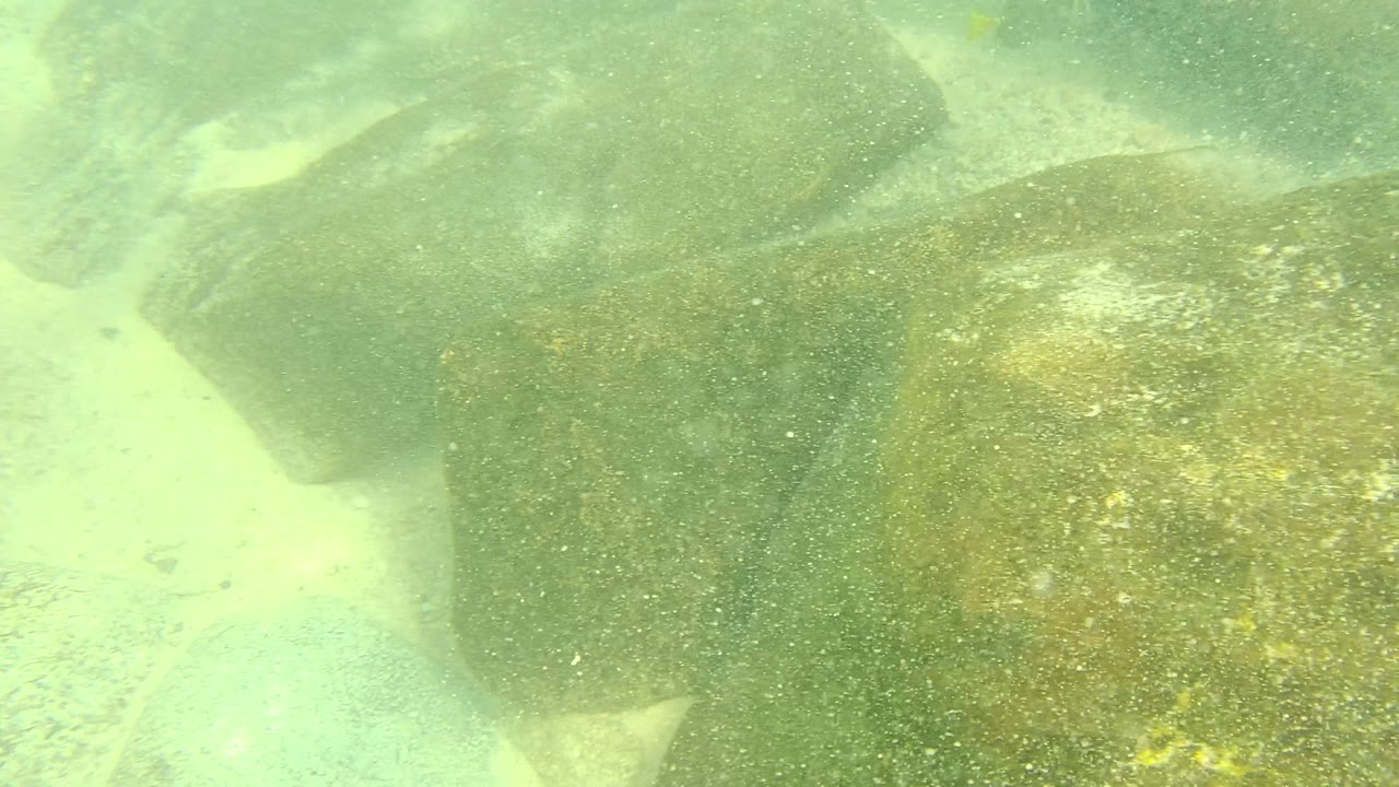 Large boulder and sandy seabed underwater.