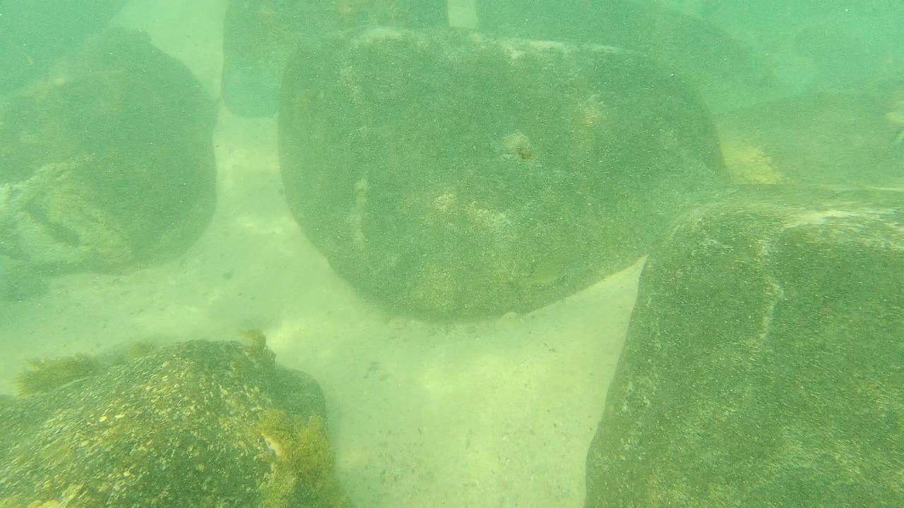Submerged rocks and sandy bottom under greenish water.
